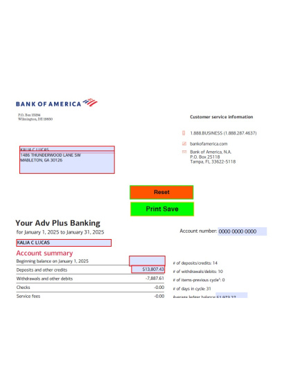 Bank of America January 2025 Personal Template